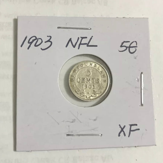 1903 Newfoundland 5 Cent  Silver Coin  XF