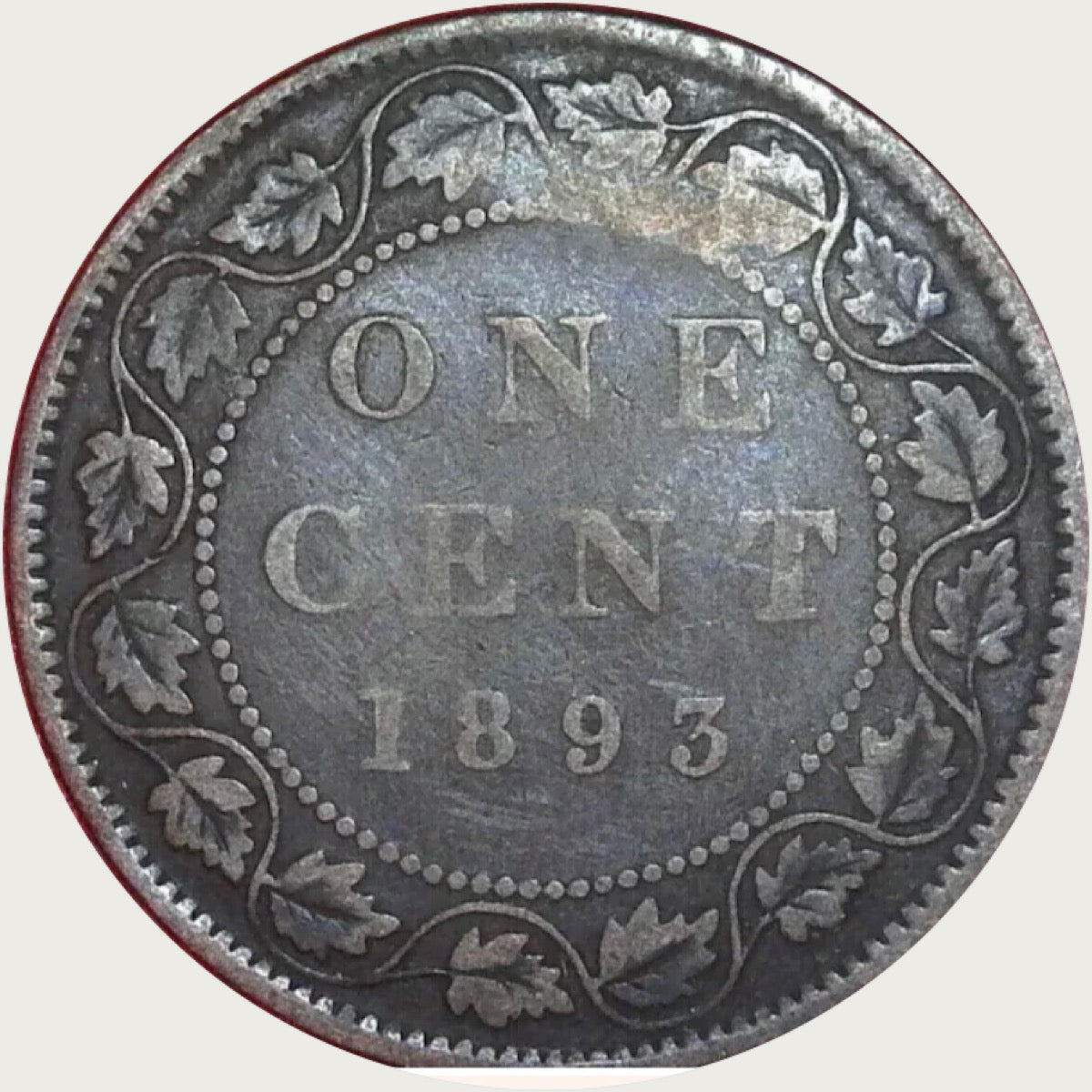 1893 Canada Large One Cent Coin Circulated high Grade VF