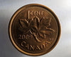 2009 Canada One Cent BU Magnetic