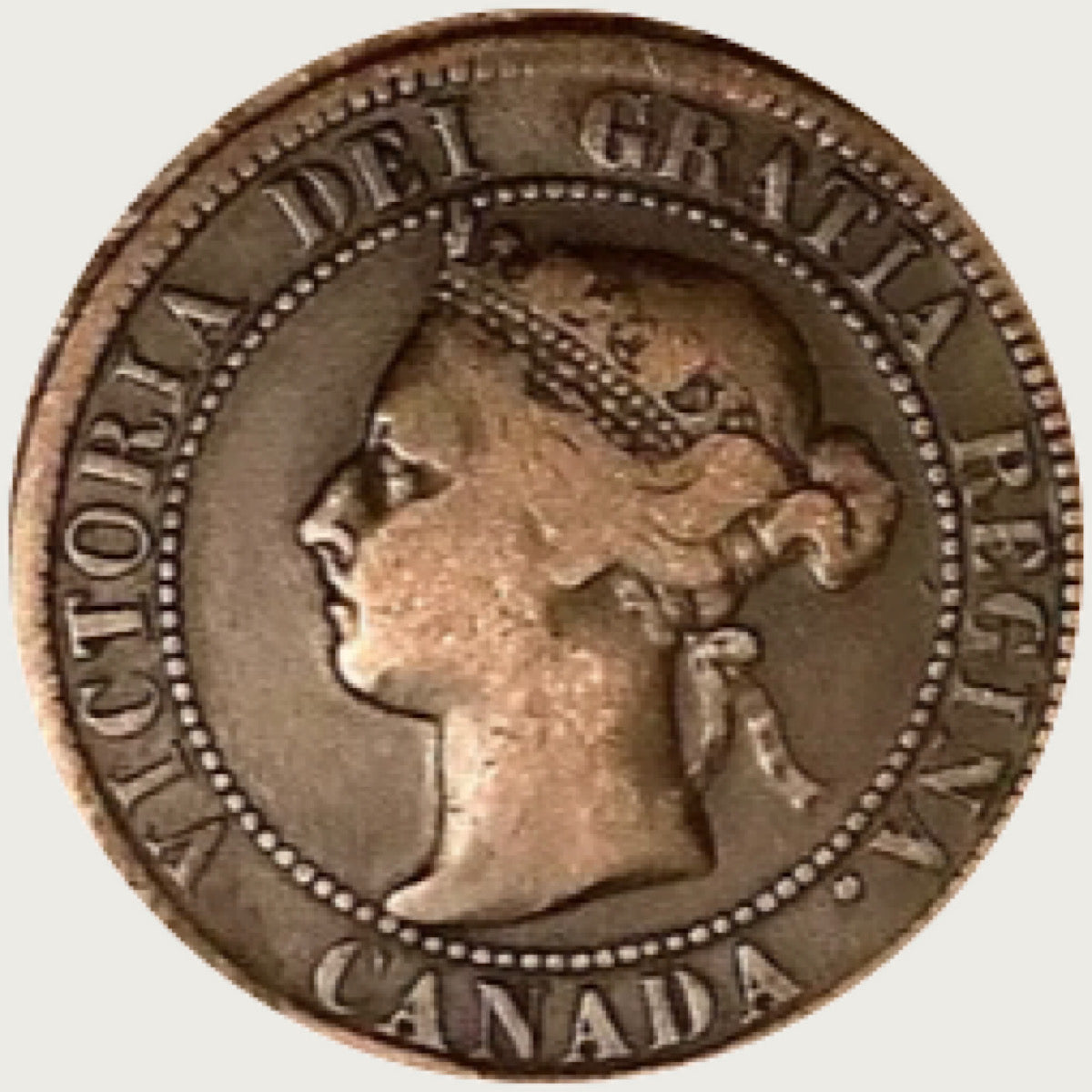 1895 Canadian  Large Cent   Queen Victoria Coin VF