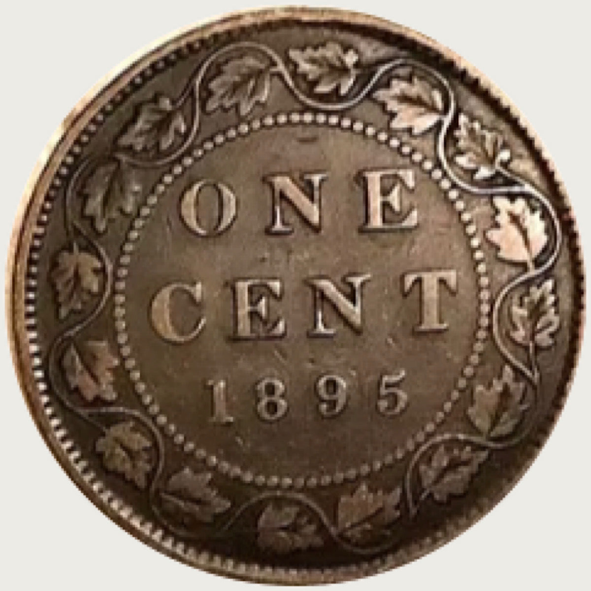 1895 Canadian  Large Cent   Queen Victoria Coin VF