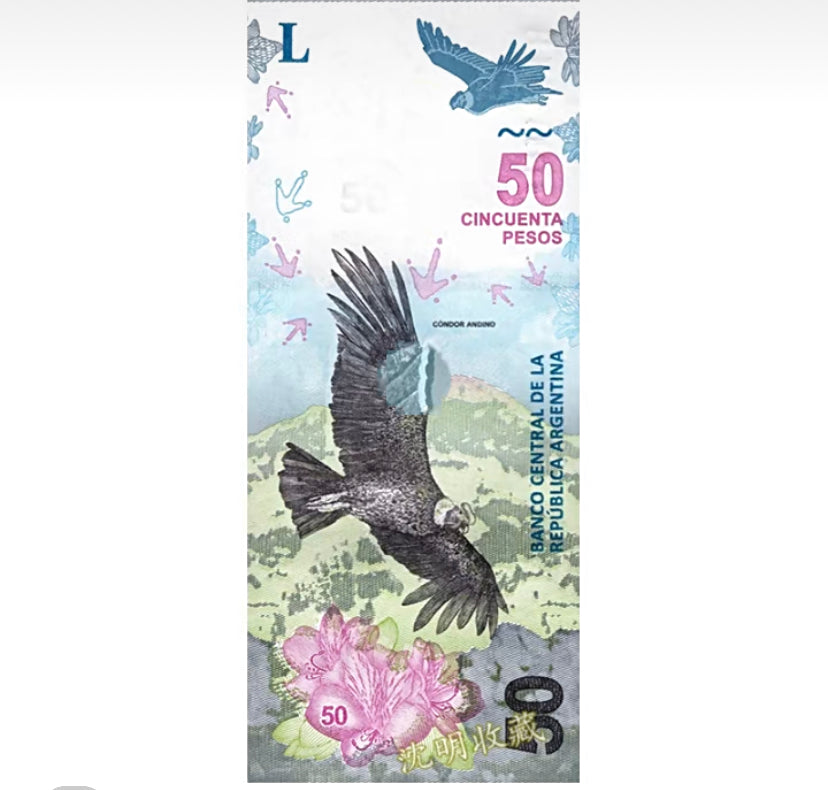 2018 Argentinien 50 Pesos Banknote P-363a.2, UNC