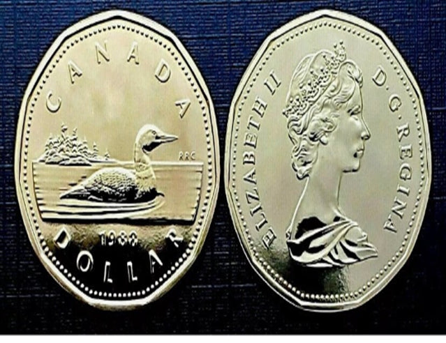 1988 Kanada-Loonie-Münze, brillant, nicht im Umlauf, von der Originalrolle, geringe Auflage***