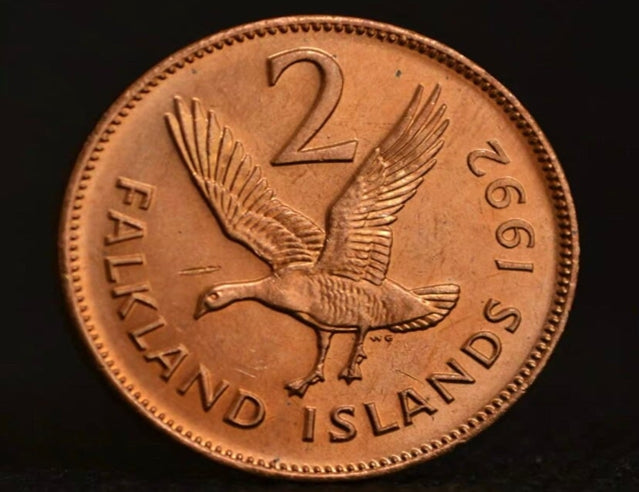 Pièce de monnaie des îles Falkland 2 pence 25,9 mm, pièce d'animal d'Amérique du Sud, année aléatoire