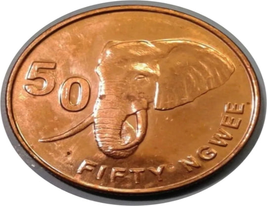 Zambie 50 Ngwee 2012-2013 Éléphant 21mm Pièce de monnaie en acier plaqué laiton UNC Magnifique