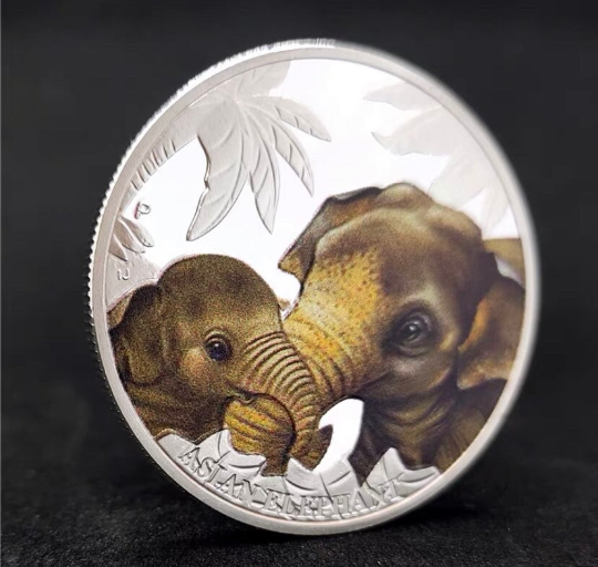 Pièce porte-bonheur – Éléphant – Pièce cadeau artisanale colorée dans une capsule de protection en plastique plaqué argent #LAN17