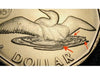 Canada 2012 1 Lucky Loonie BU - Error ( Die Chips in Water Lines ）