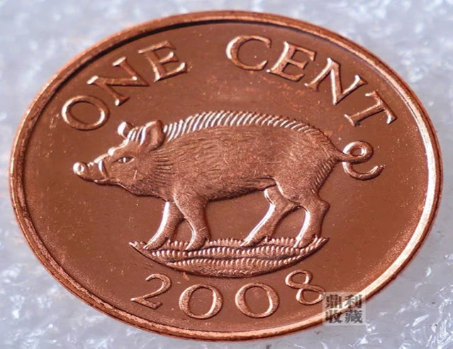 2008 Bermuda Bermudan One 1 Cent Wildschwein-Schwein-Münze BU