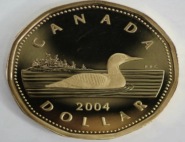 Pièce de monnaie lourde d'un dollar à l'épreuve du huard du Canada de 2004 Magnifique