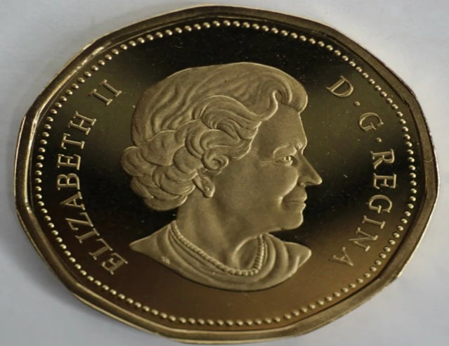 2004 Canada loonie proof one dollar heavy cameo coin Beautiful