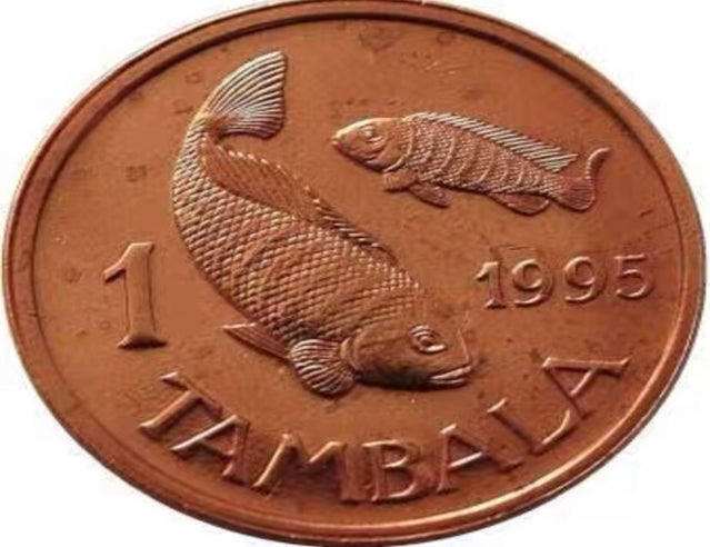 Nouvelle pièce du Malawi 1995 1 tambara (Fen) poisson animal pièce étrangère africaine BU