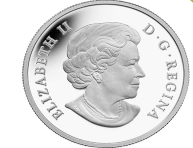 2014 $50 The Polar Bear from $50 for $50 Pure Silver Coin