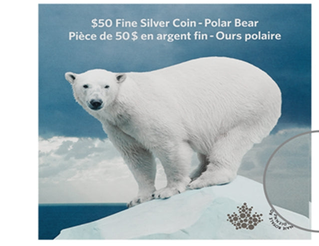 2014 $50 The Polar Bear from $50 for $50 Pure Silver Coin