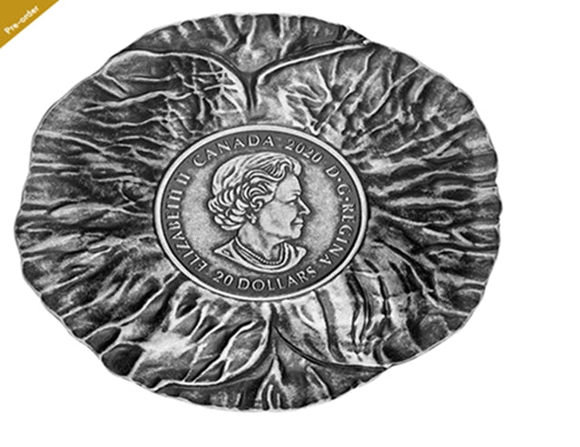 2020 Canadian $20 Pure Silver Coin - Remembrance Day (No GST)