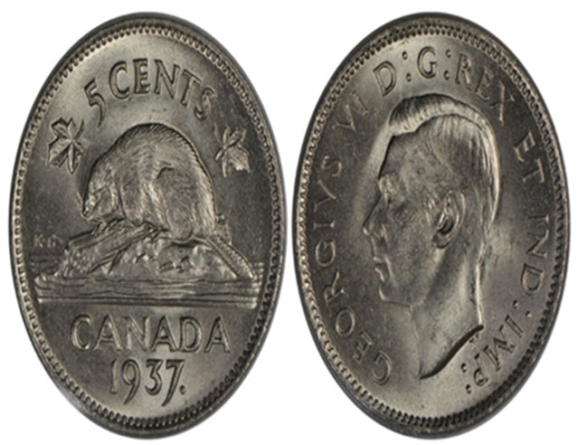 Pièce canadienne de 5 cents en nickel castor de 1937 (circulée) VF