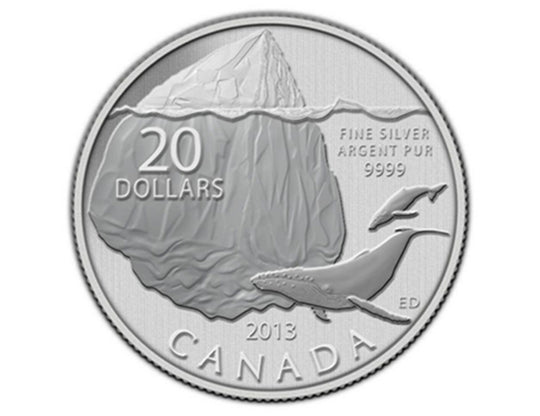 Pièce de 20 $ canadienne Iceberg et baleine en argent fin 2013