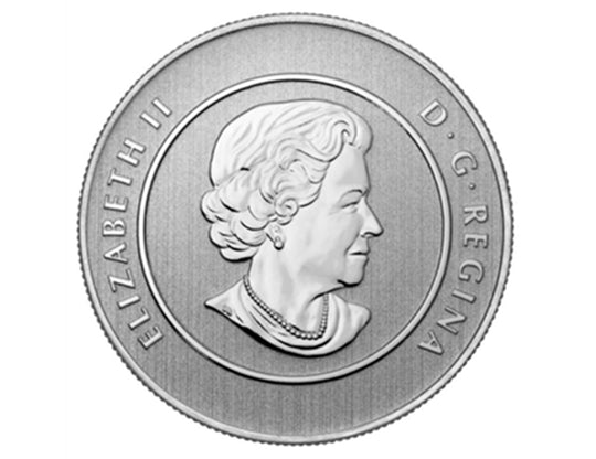 Pièce de 20 $ canadienne Iceberg et baleine en argent fin 2013