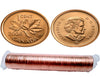 2008 P Canadian 1-Cent Maple Leaf Twig Penny Coin Roll -50 Coins BU