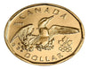 2008 Canadian 1 Olympic Lucky Loonie Dollar Coin BU