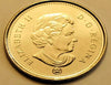 Erreur 2006 Logo RCM Accumulations sur 2 et 6 de la date 5 Cent Canada Nickel