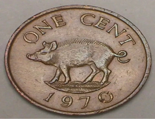 1970 Bermuda Bermudan One 1 Cent Wild Boar Pig Coin VF+