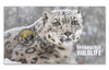 Snow Leopard Animal card book Tuvalu, Australia 2016 1 Dollar commemorative  coin postmark