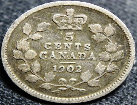 1902 Canadian Silver 5 Cents Edward VII 1 Jahr Typ